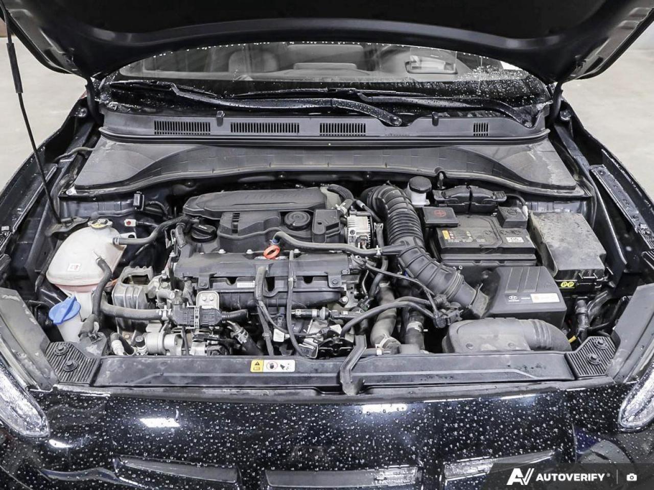 2023 Hyundai KONA 1.6T N Line w/Ultimate Package 4dr All-Wheel Drive Photo