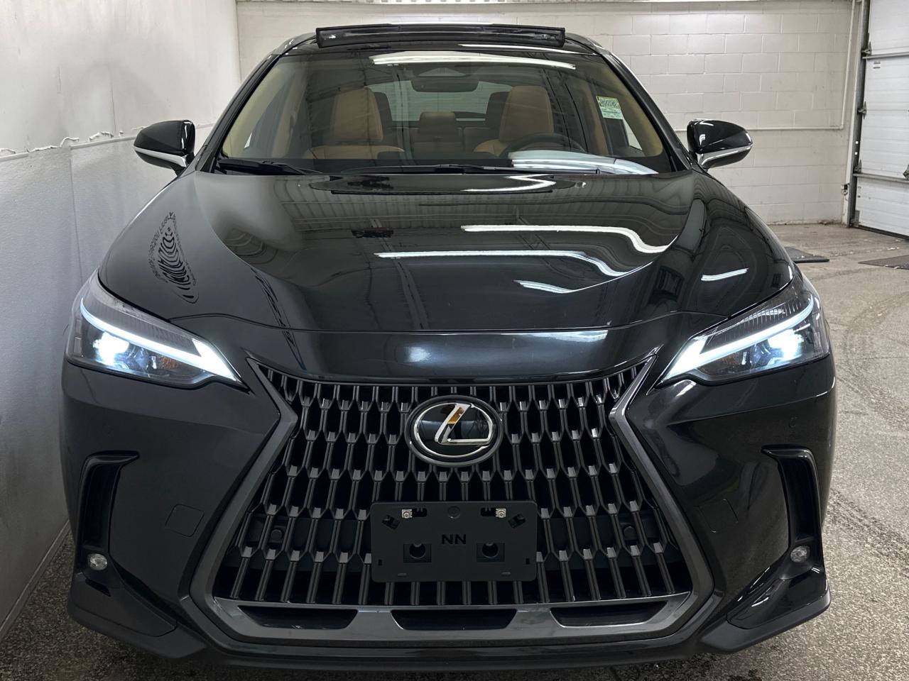 2025 Lexus NX 350 Base 4dr All-Wheel Drive Photo