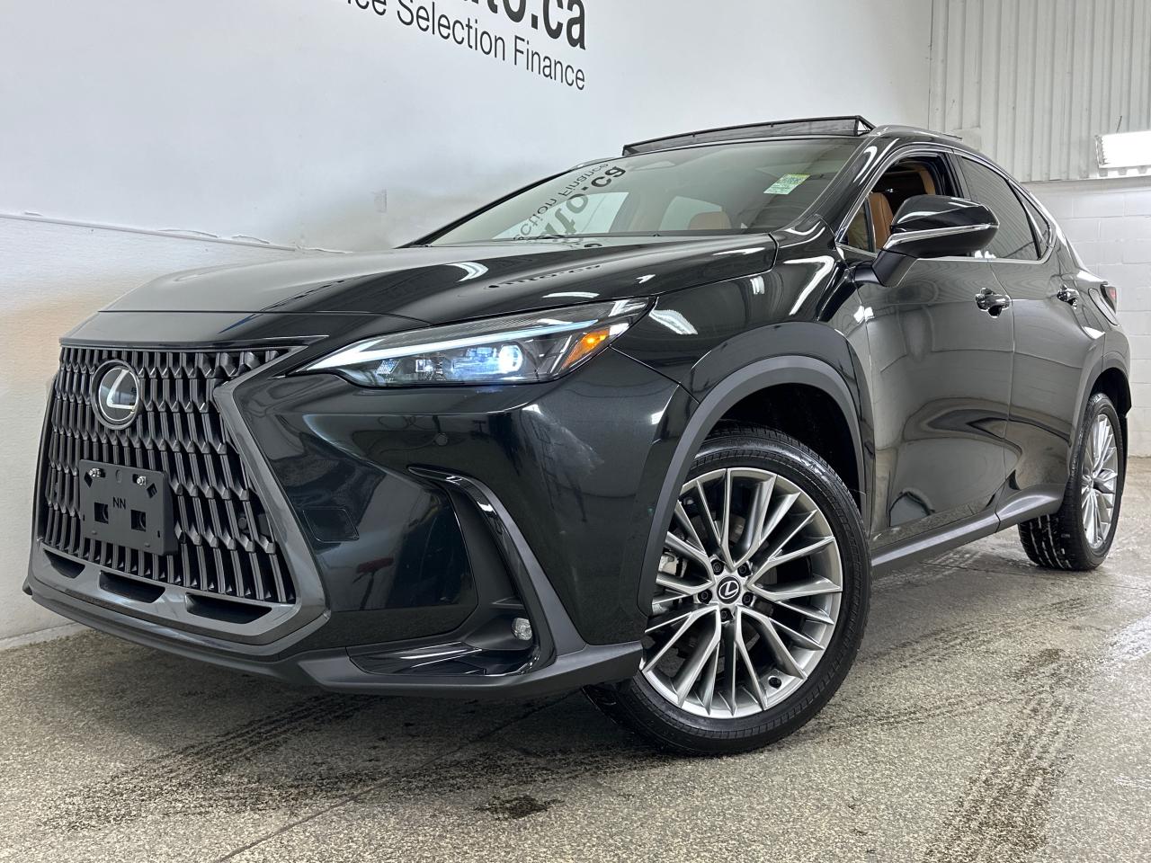 2025 Lexus NX 350 Base 4dr All-Wheel Drive Photo