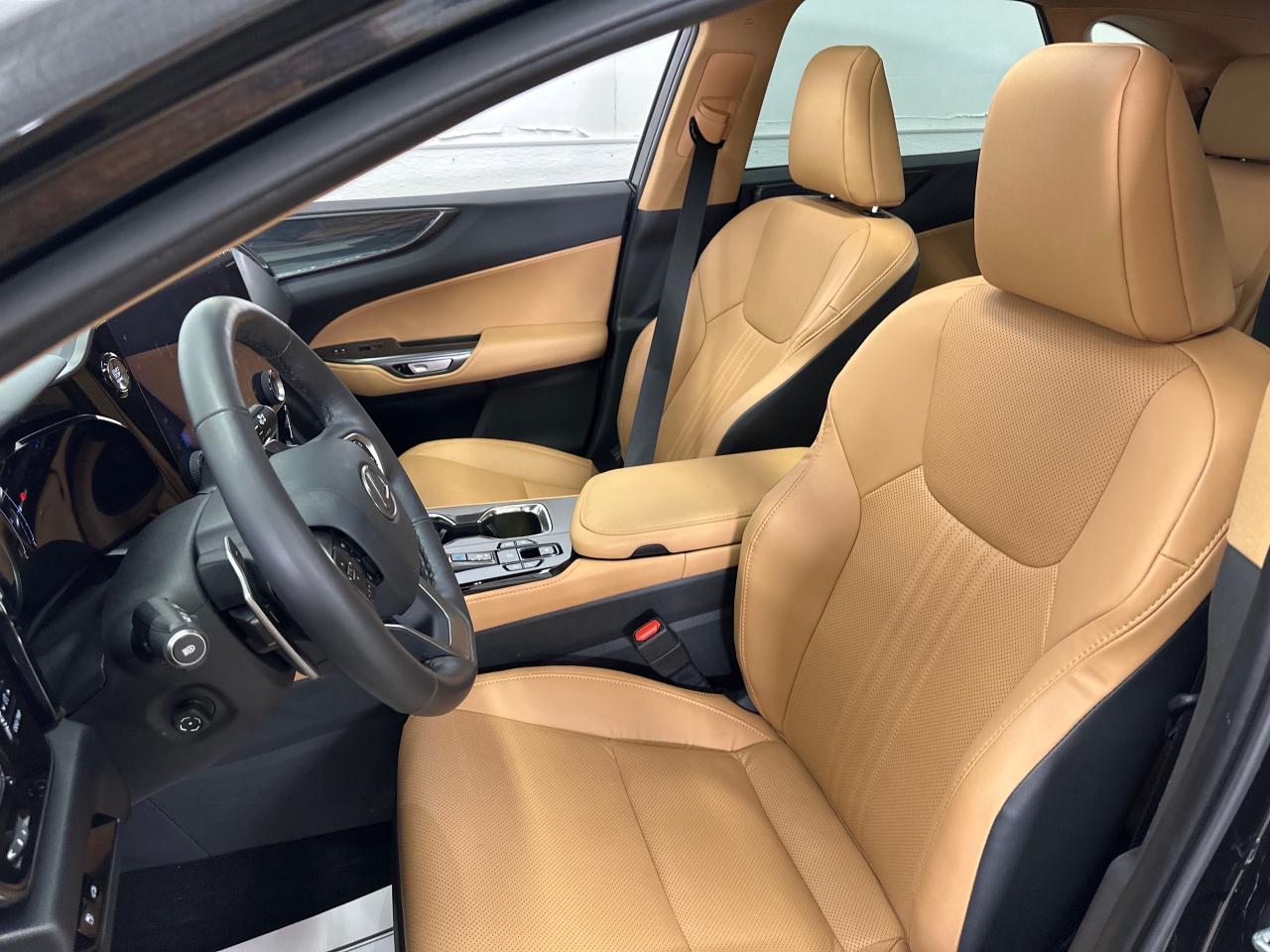 2025 Lexus NX 350 Base 4dr All-Wheel Drive Photo