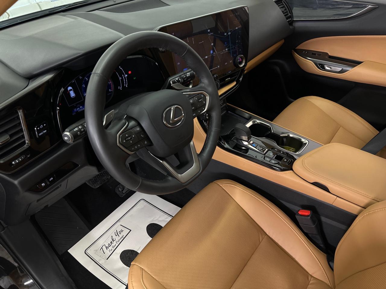 2025 Lexus NX 350 Base 4dr All-Wheel Drive Photo