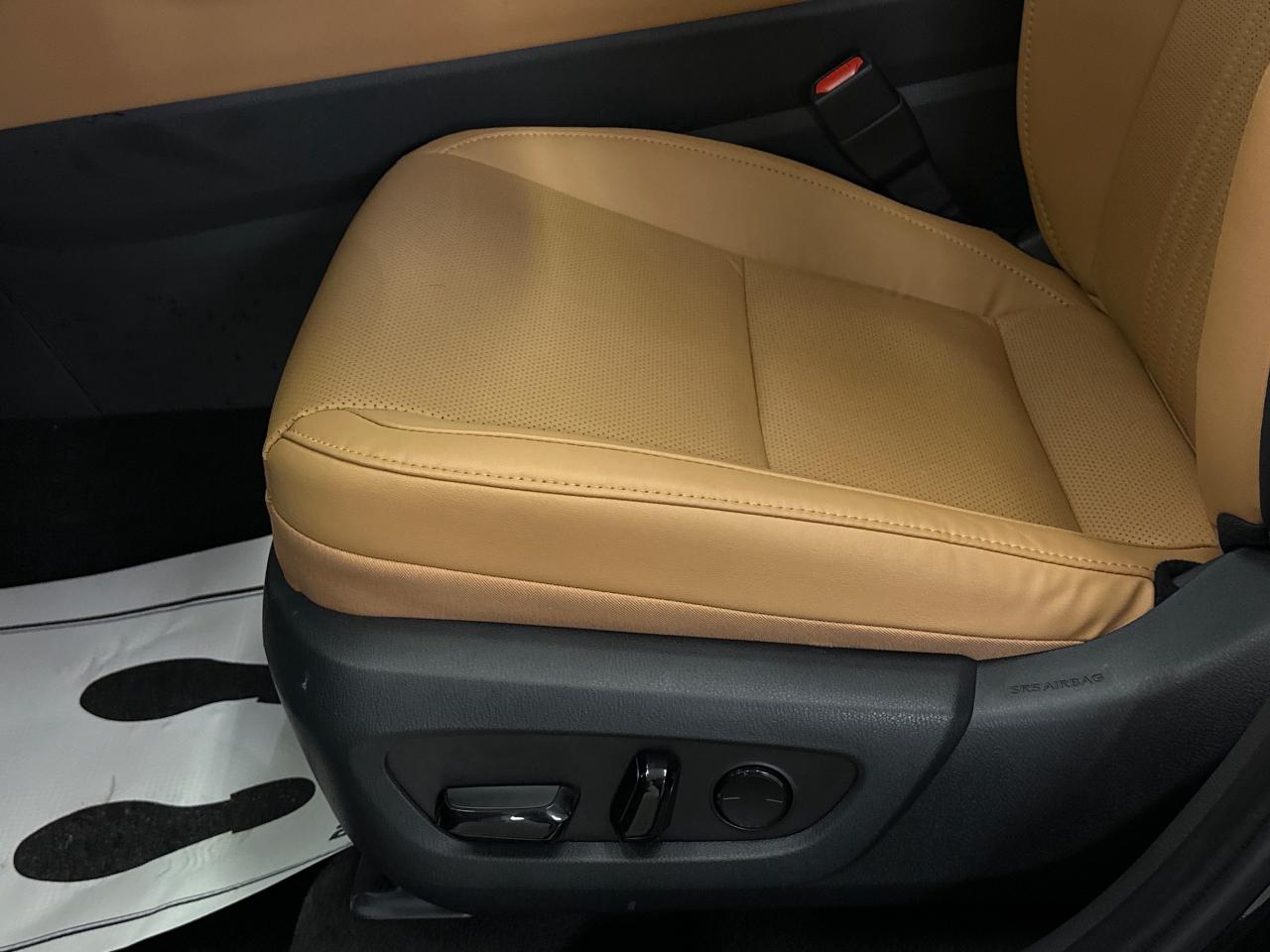 2025 Lexus NX 350 Base 4dr All-Wheel Drive Photo