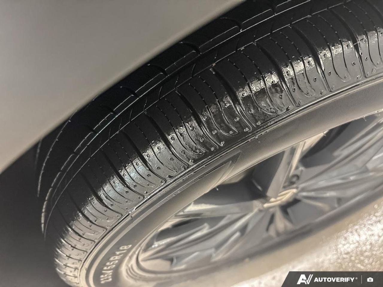 2024 Volkswagen Tiguan Comfortline 4dr All-wheel Drive 4MOTION Photo