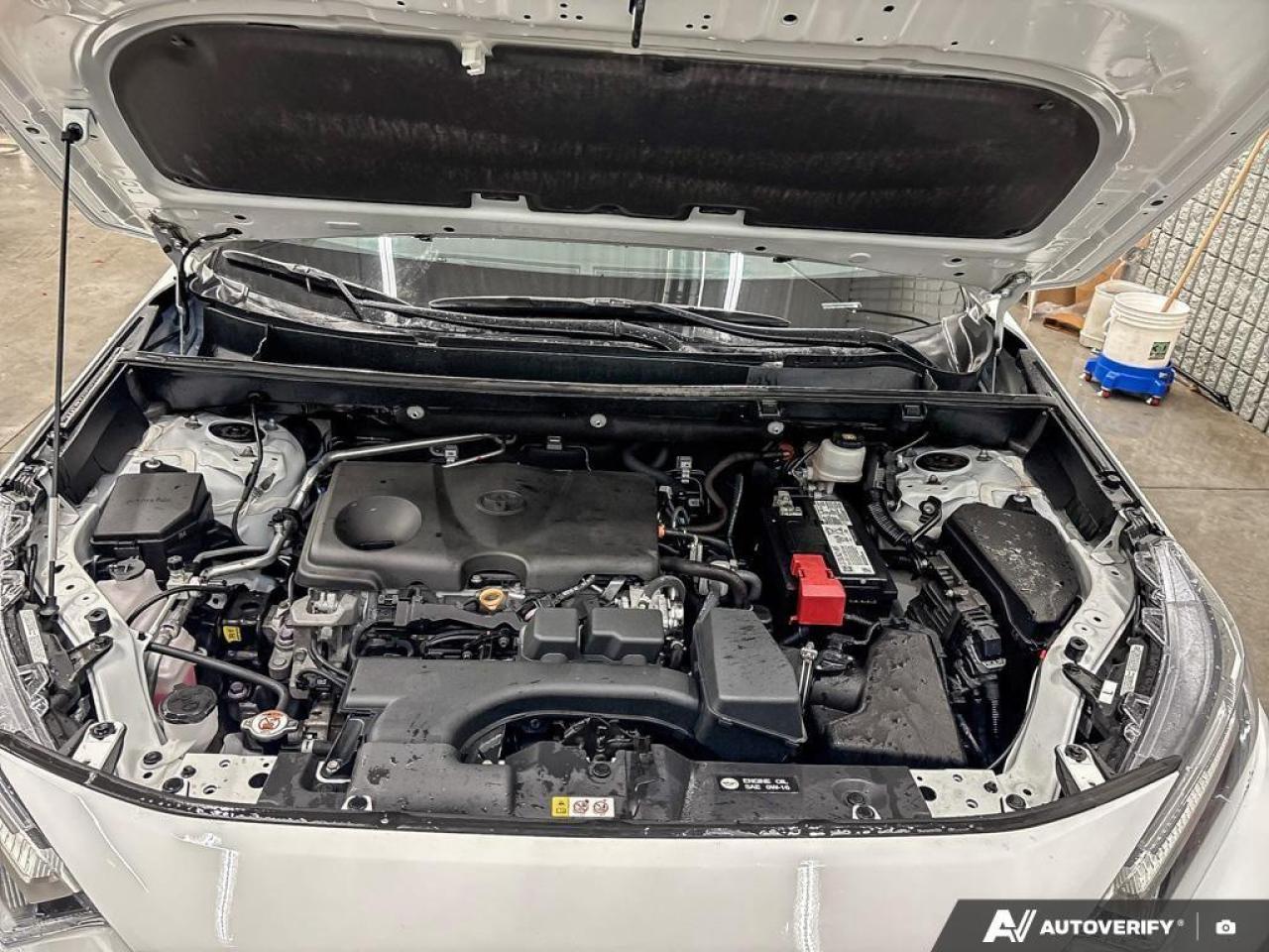 2023 Toyota RAV4 Trail 4dr All-Wheel Drive Photo