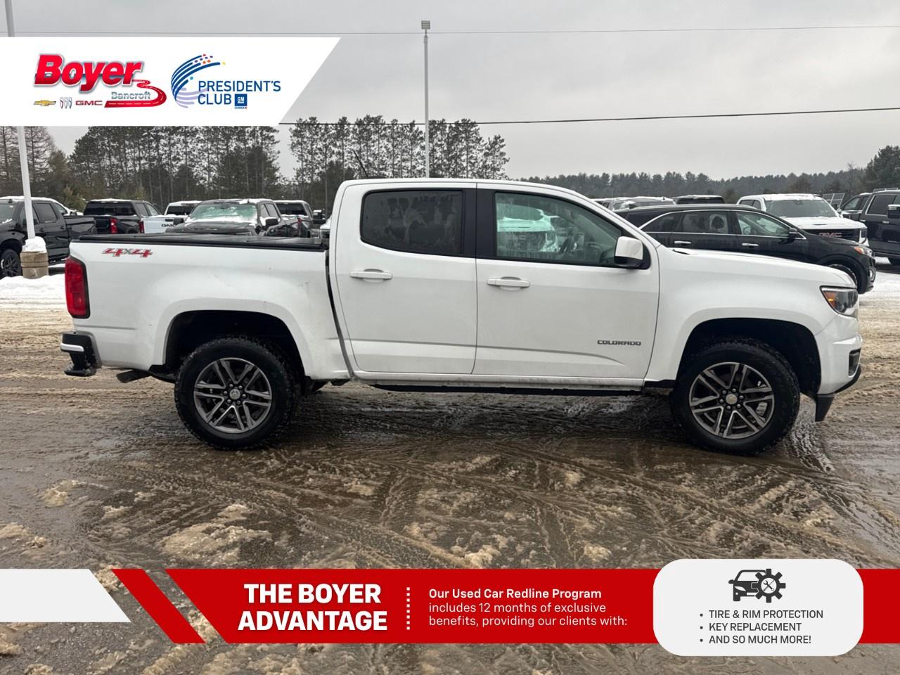 2019 Chevrolet Colorado Crew Cab Short Box 4-Wheel Drive WT Photo3
