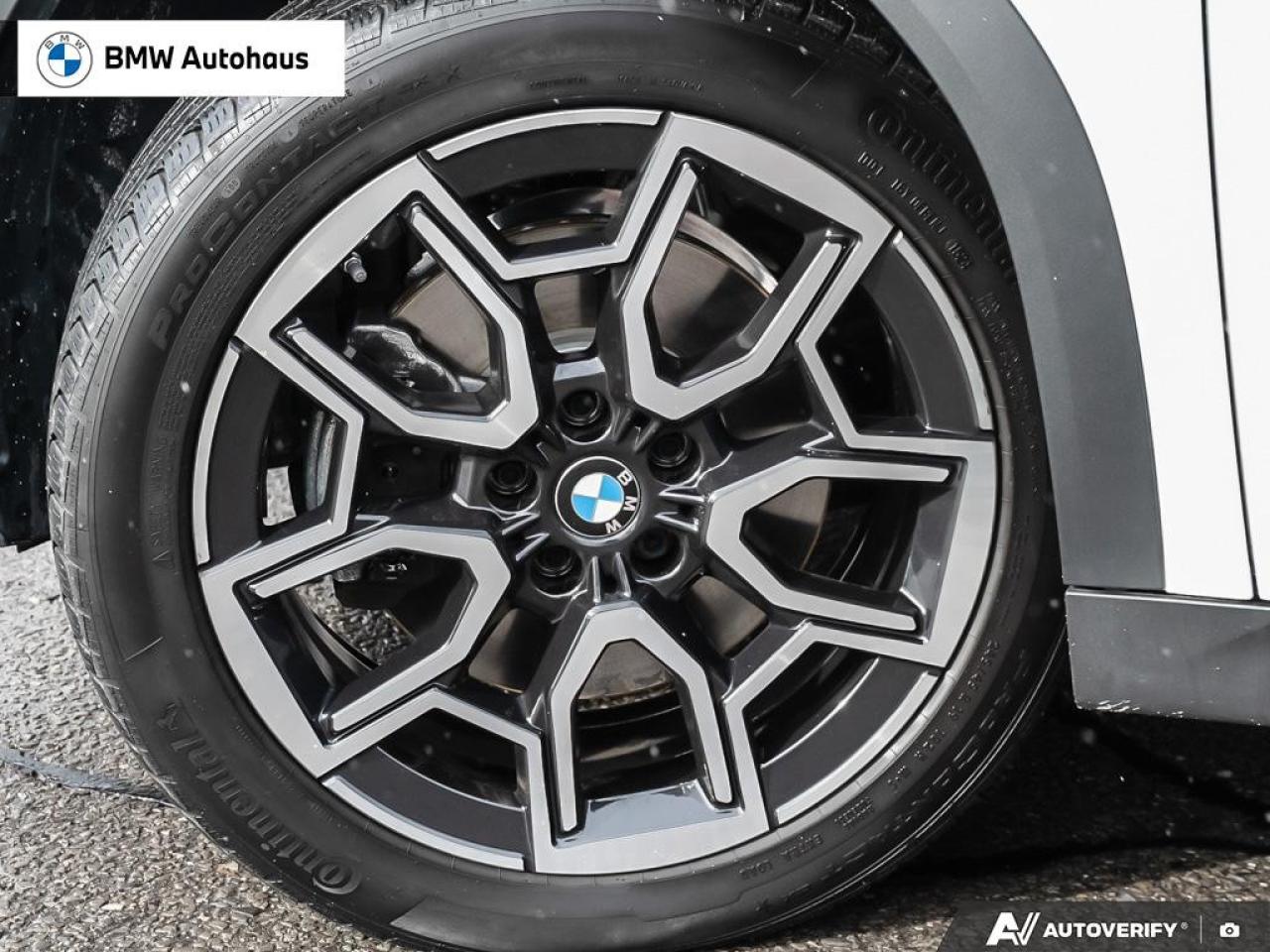 2025 BMW X2 xDrive28i Sports Activity Coupe Photo