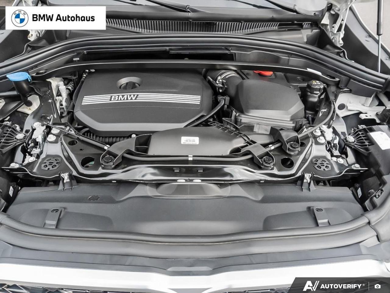 2025 BMW X2 xDrive28i Sports Activity Coupe Photo