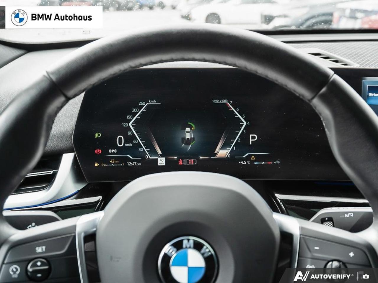 2025 BMW X2 xDrive28i Sports Activity Coupe Photo