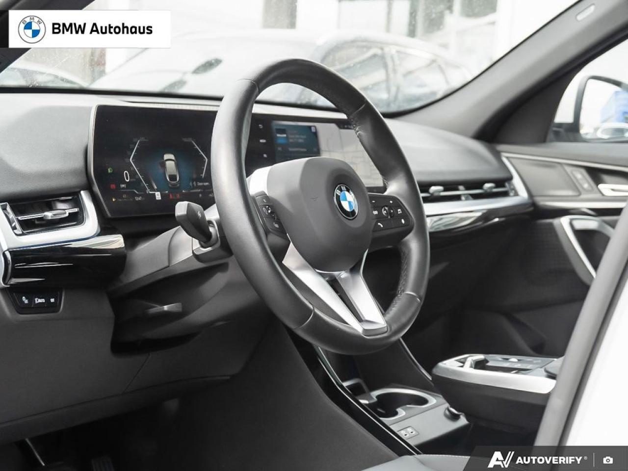 2025 BMW X2 xDrive28i Sports Activity Coupe Photo