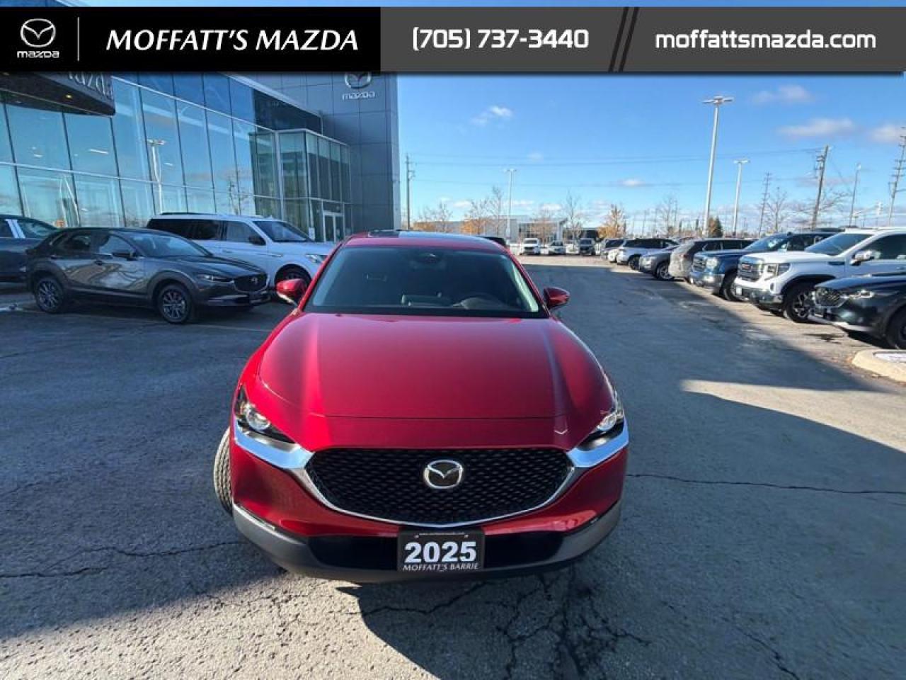 2025 Mazda CX-30 GS Photo