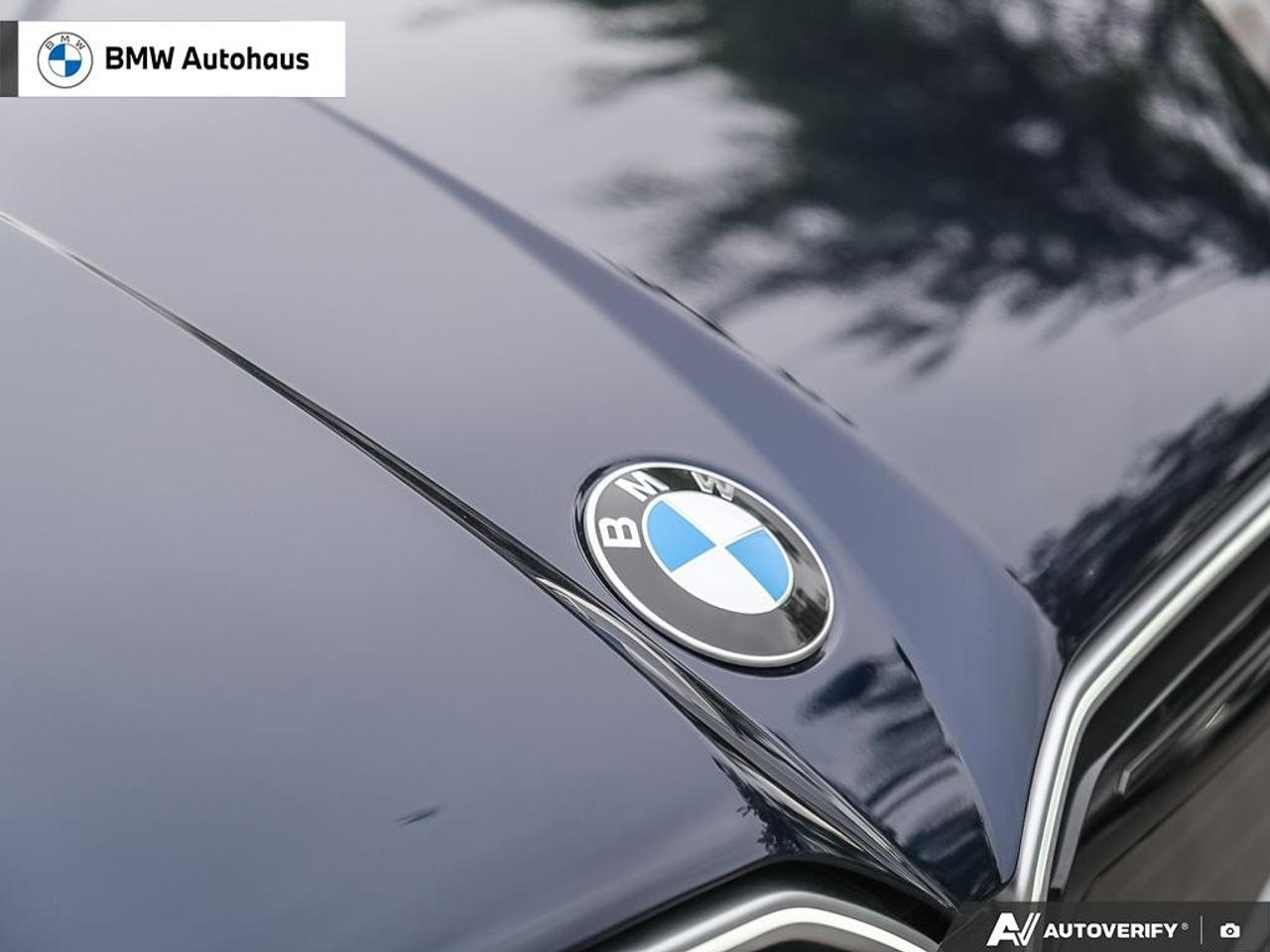 2026 BMW X3 Sports Activity Vehicle [73GP] Photo