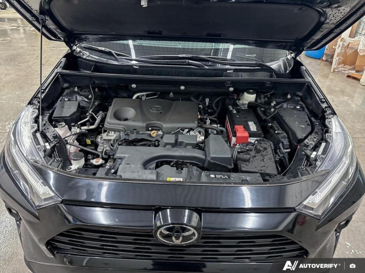 2024 Toyota RAV4 XLE 4dr All-wheel Drive Photo