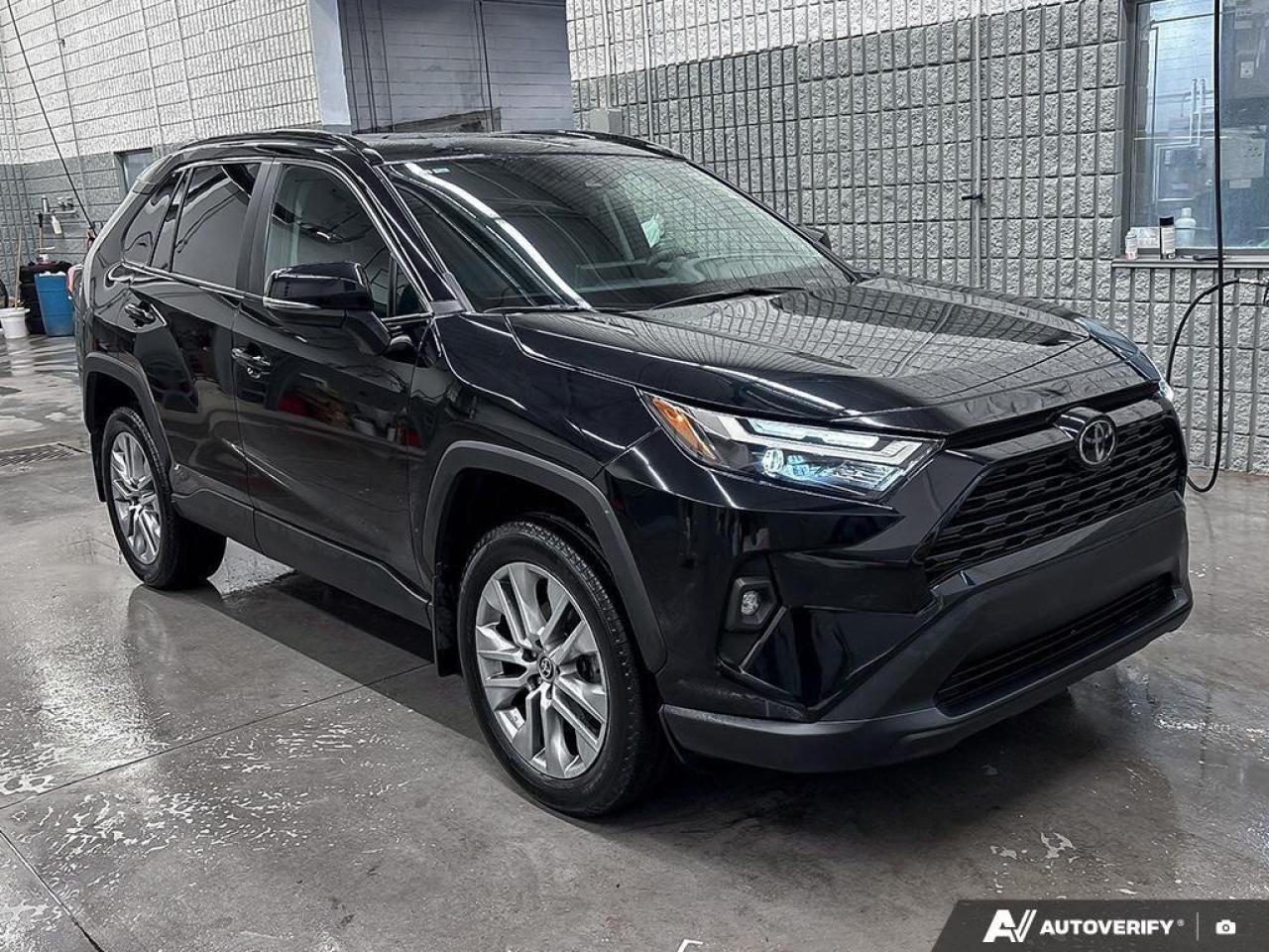 2024 Toyota RAV4 XLE 4dr All-wheel Drive Photo