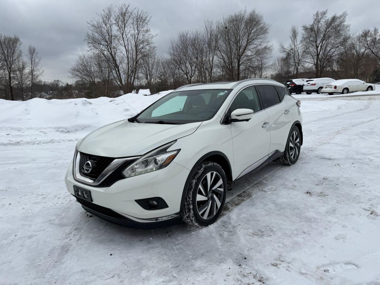 2017 Nissan Murano Platinum 4dr All-wheel Drive 2017.5 Photo0