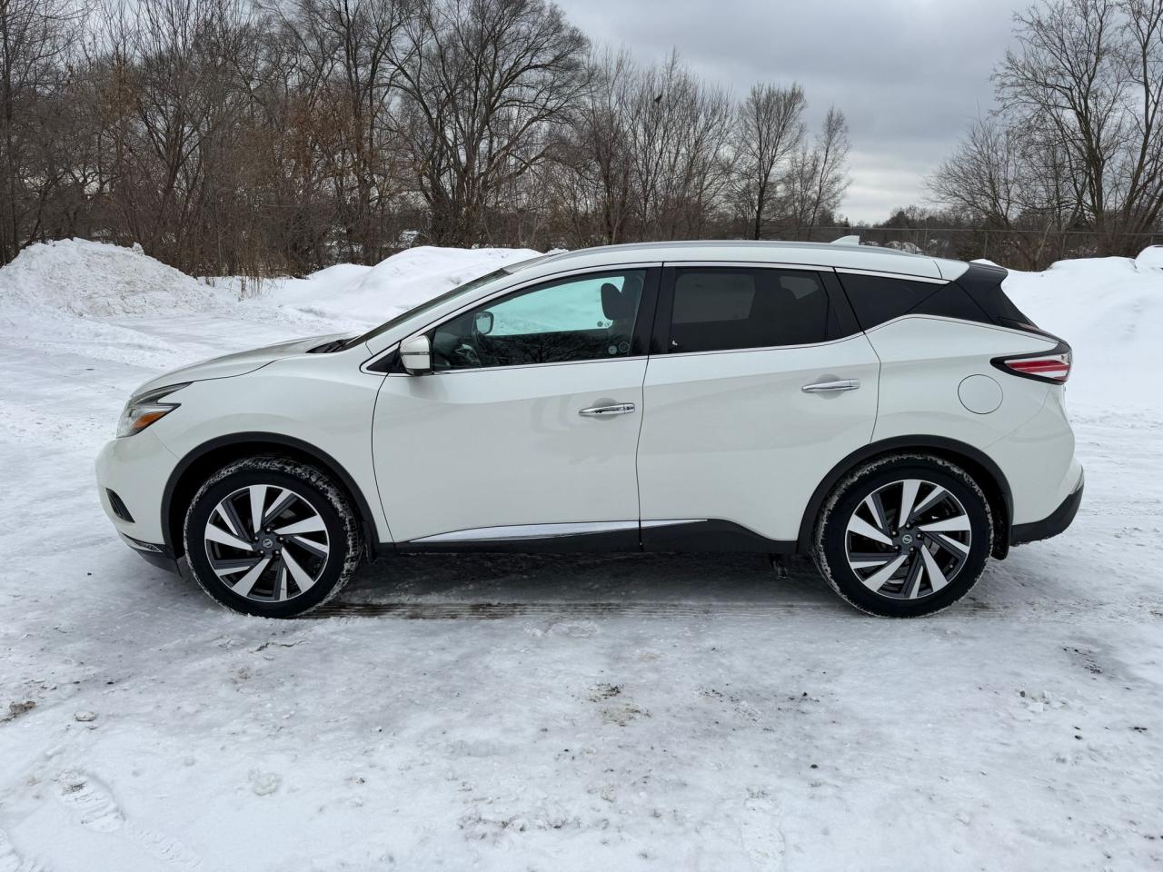 2017 Nissan Murano Platinum 4dr All-wheel Drive 2017.5 Photo4