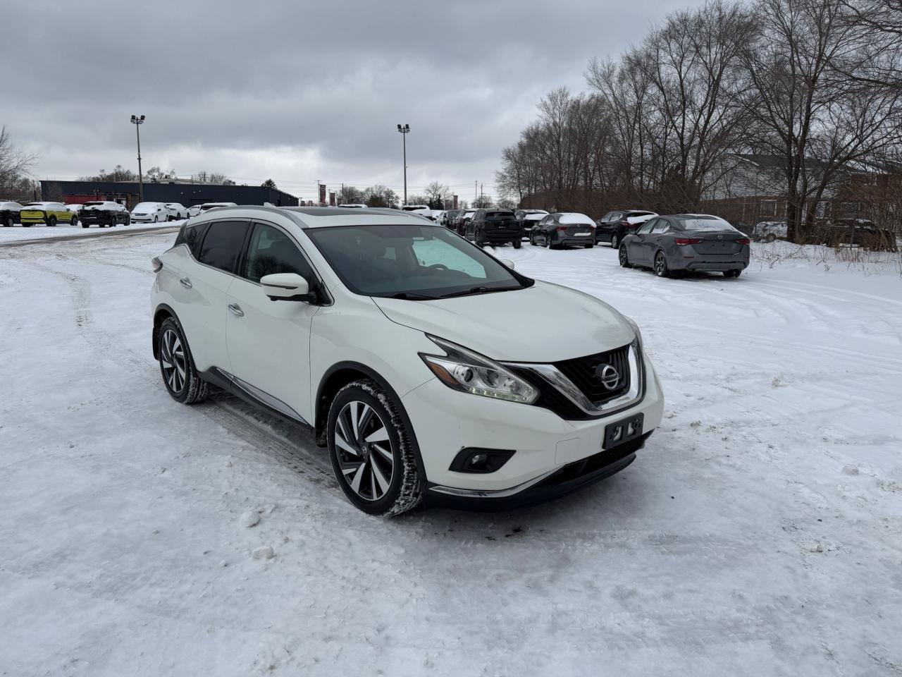 2017 Nissan Murano Platinum 4dr All-wheel Drive 2017.5 Photo