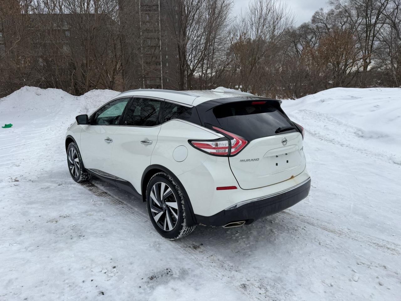 2017 Nissan Murano Platinum 4dr All-wheel Drive 2017.5 Photo