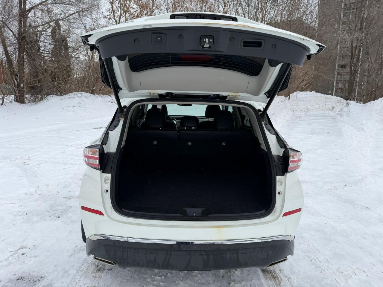 2017 Nissan Murano Platinum 4dr All-wheel Drive 2017.5 Photo