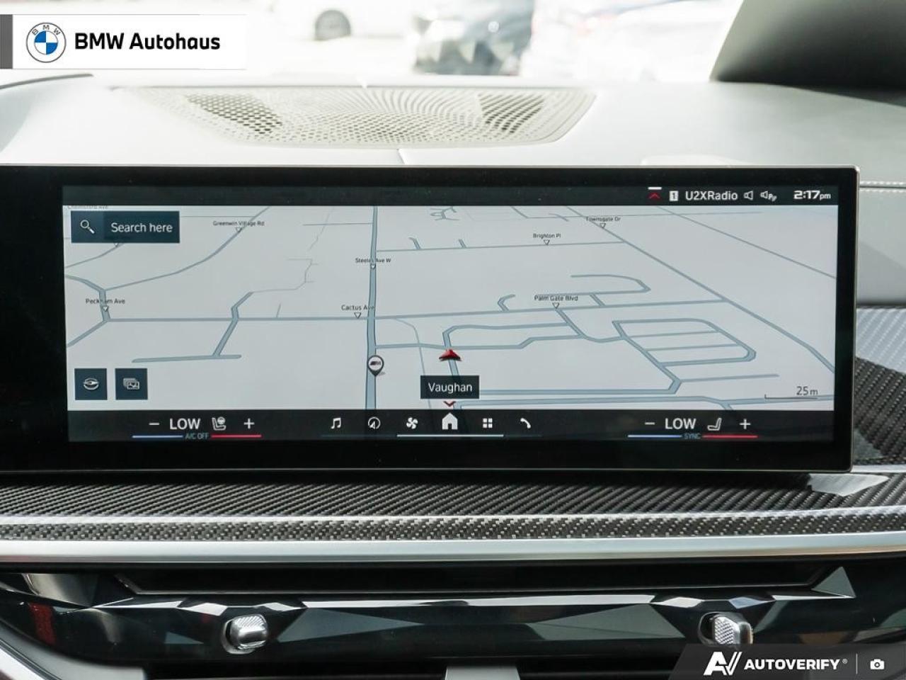 2025 BMW X5 M X5 M Competition Sports Activity Vehicle Photo