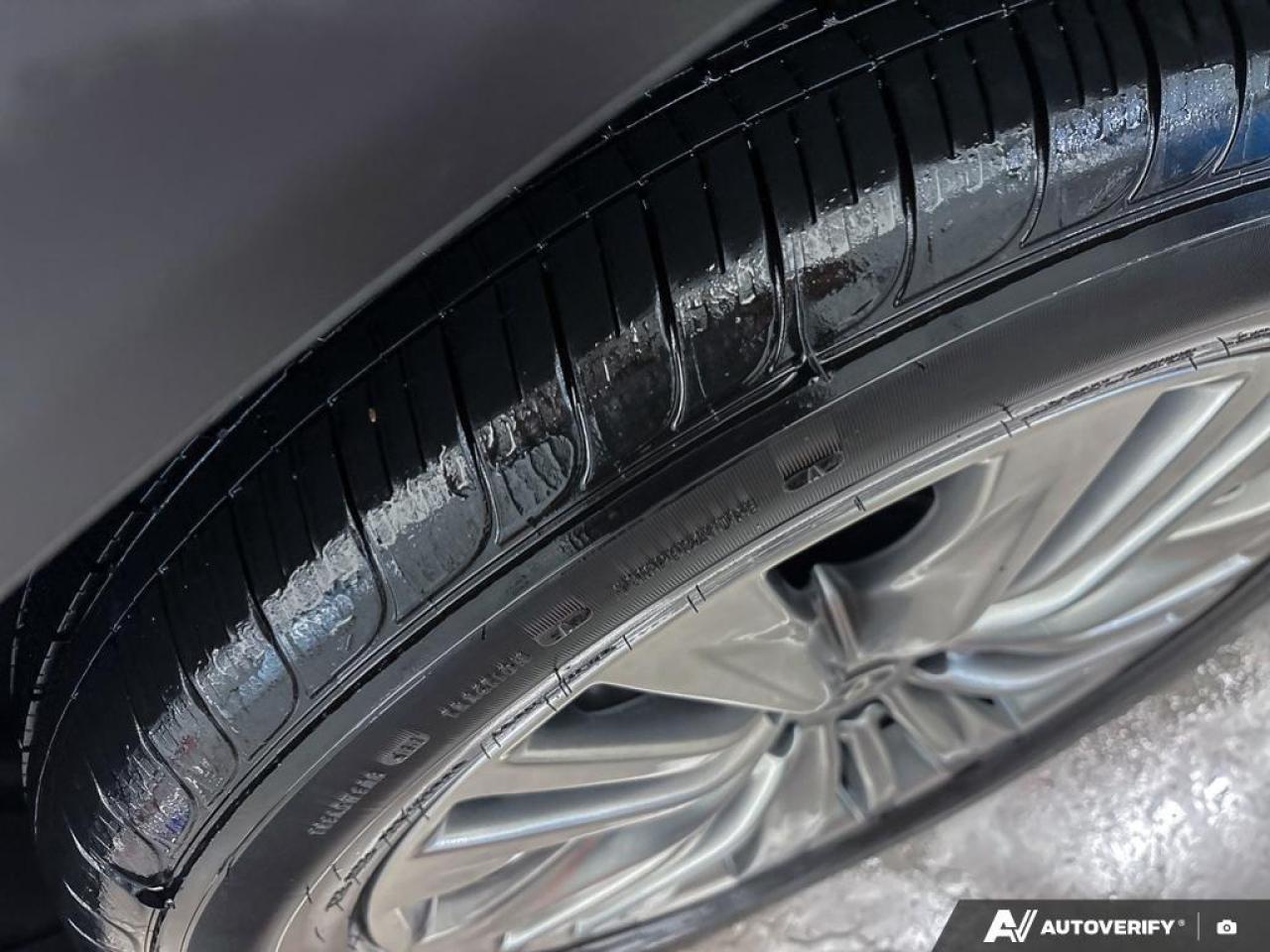 2024 Toyota Highlander  Photo