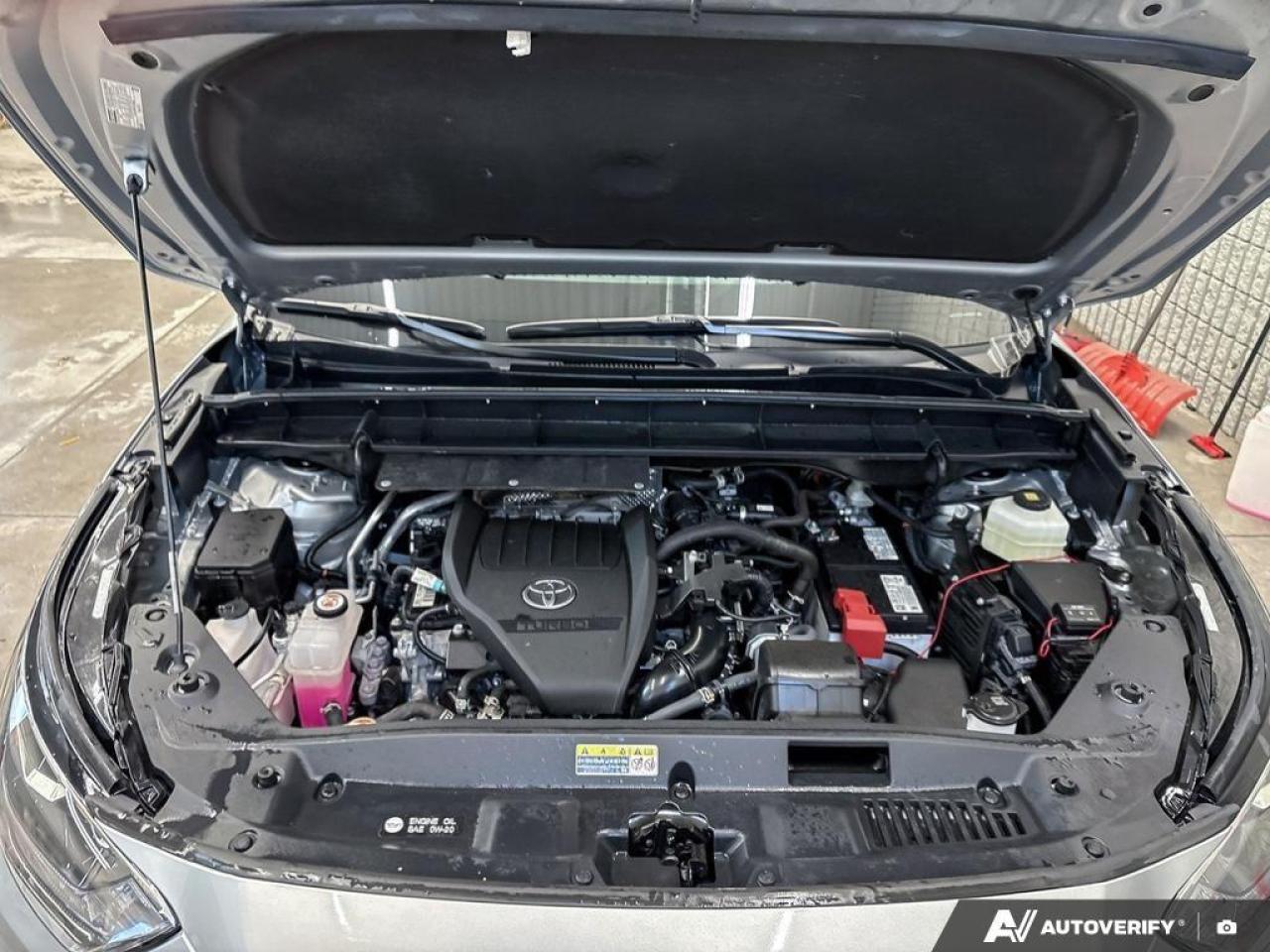 2024 Toyota Highlander  Photo