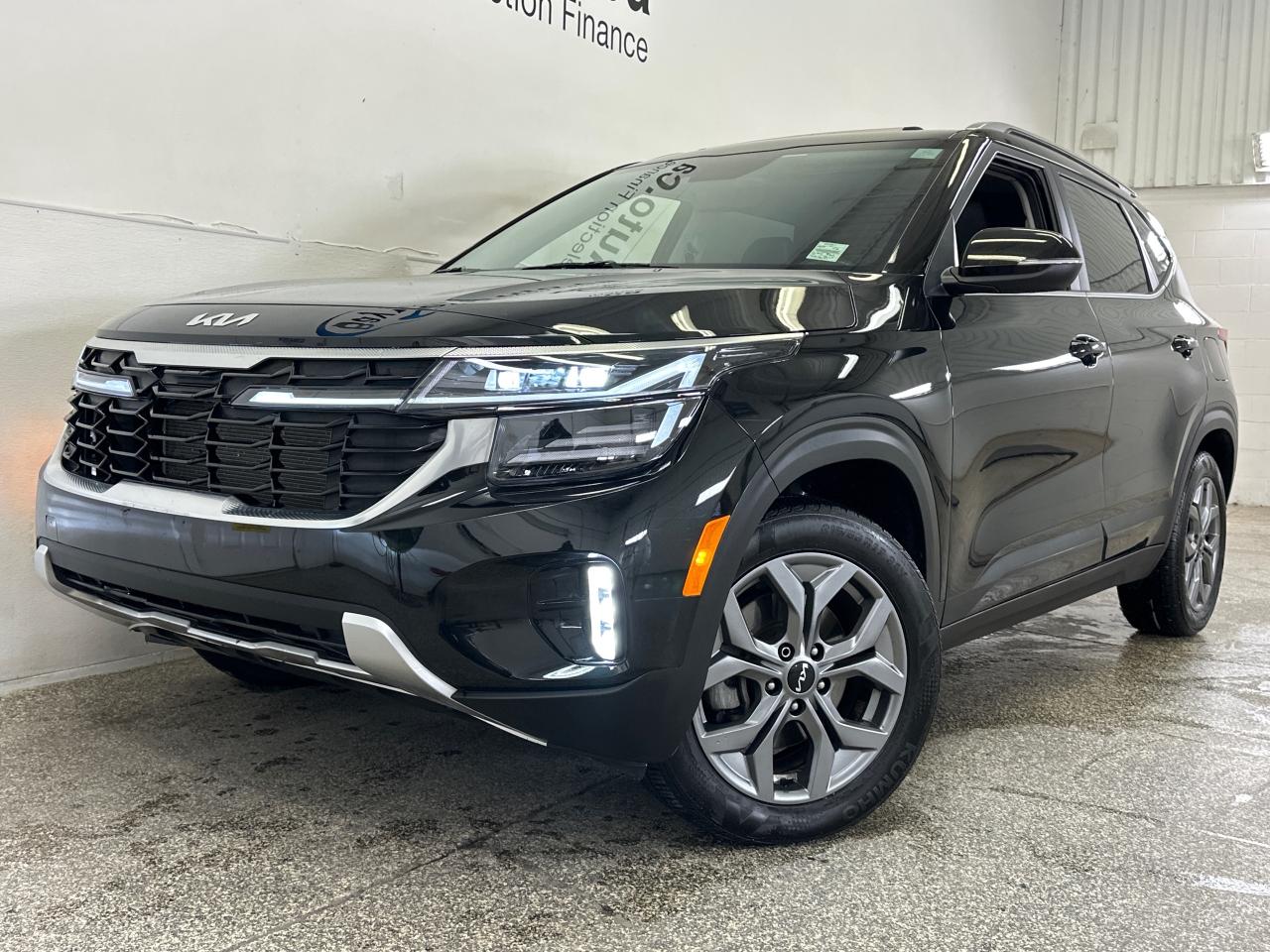 2025 Kia Seltos EX 4dr All-Wheel Drive Photo