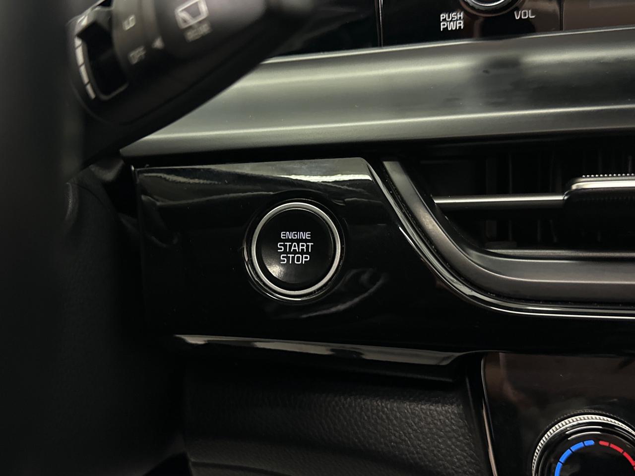 2025 Kia Seltos EX 4dr All-Wheel Drive Photo