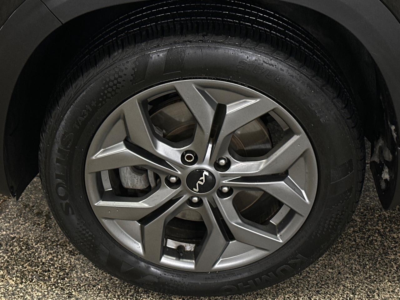 2025 Kia Seltos EX 4dr All-Wheel Drive Photo