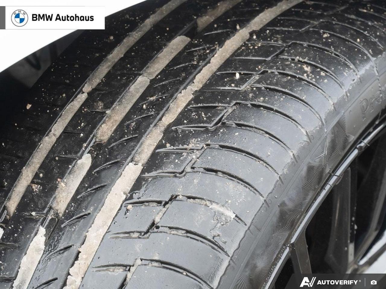 2023 BMW X5 xDrive40i Sports Activity Vehicle Photo