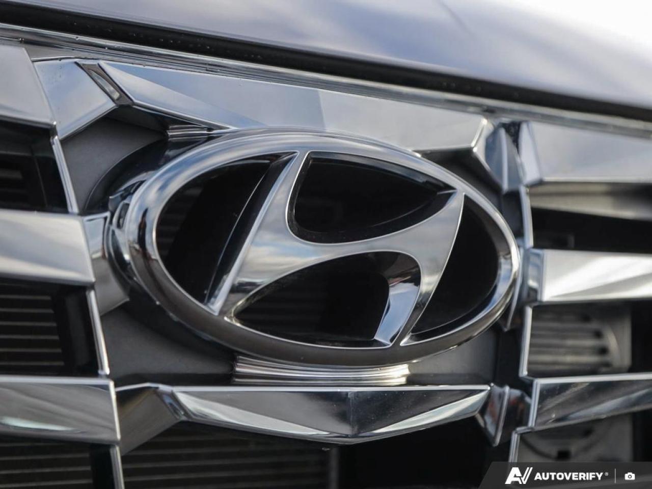 2024 Hyundai Tucson Hybrid  Photo