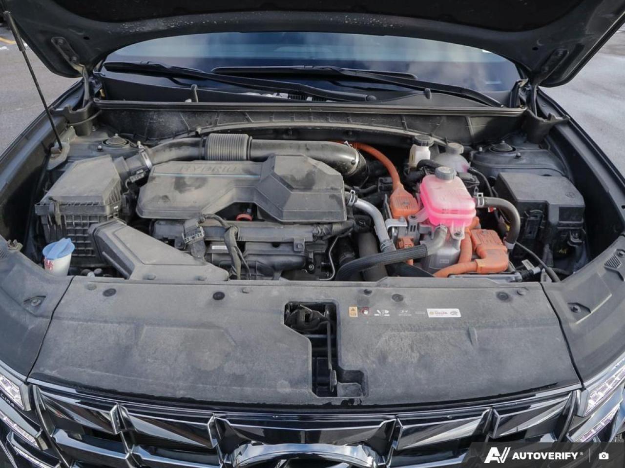 2024 Hyundai Tucson Hybrid  Photo