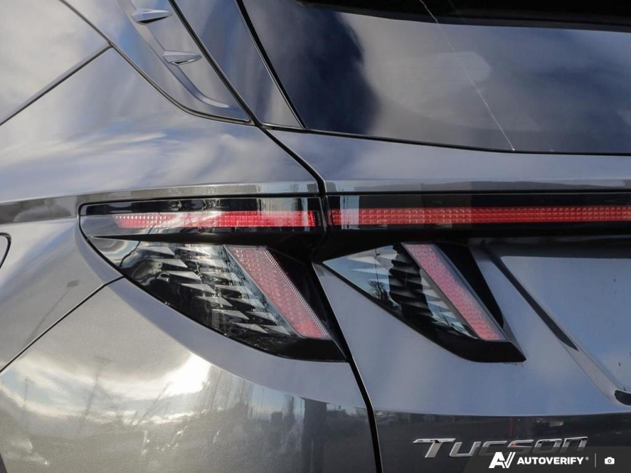 2024 Hyundai Tucson Hybrid  Photo