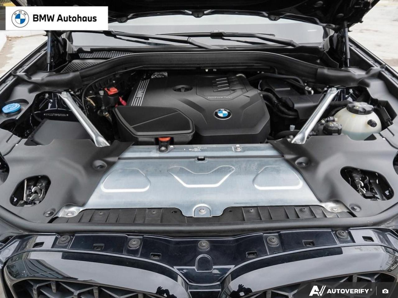 2023 BMW X4 xDrive30i Sports Activity Coupe Photo