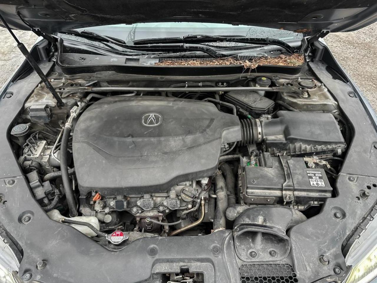 2015 Acura TLX V6 Tech Photo