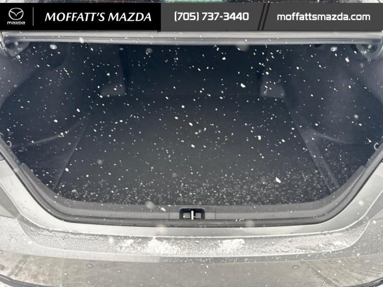 2025 Toyota Camry XLE Photo