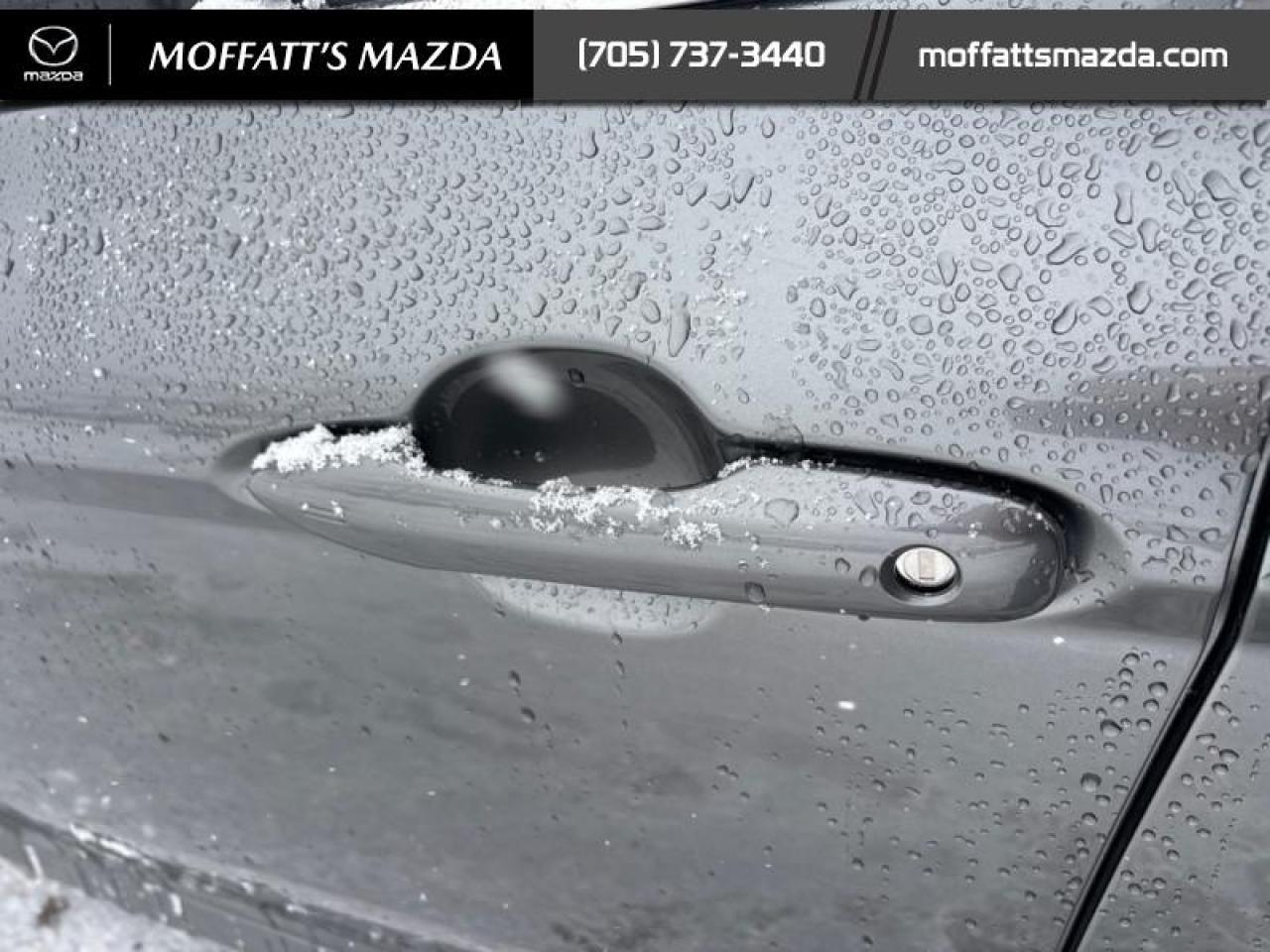 2025 Toyota Camry XLE Photo