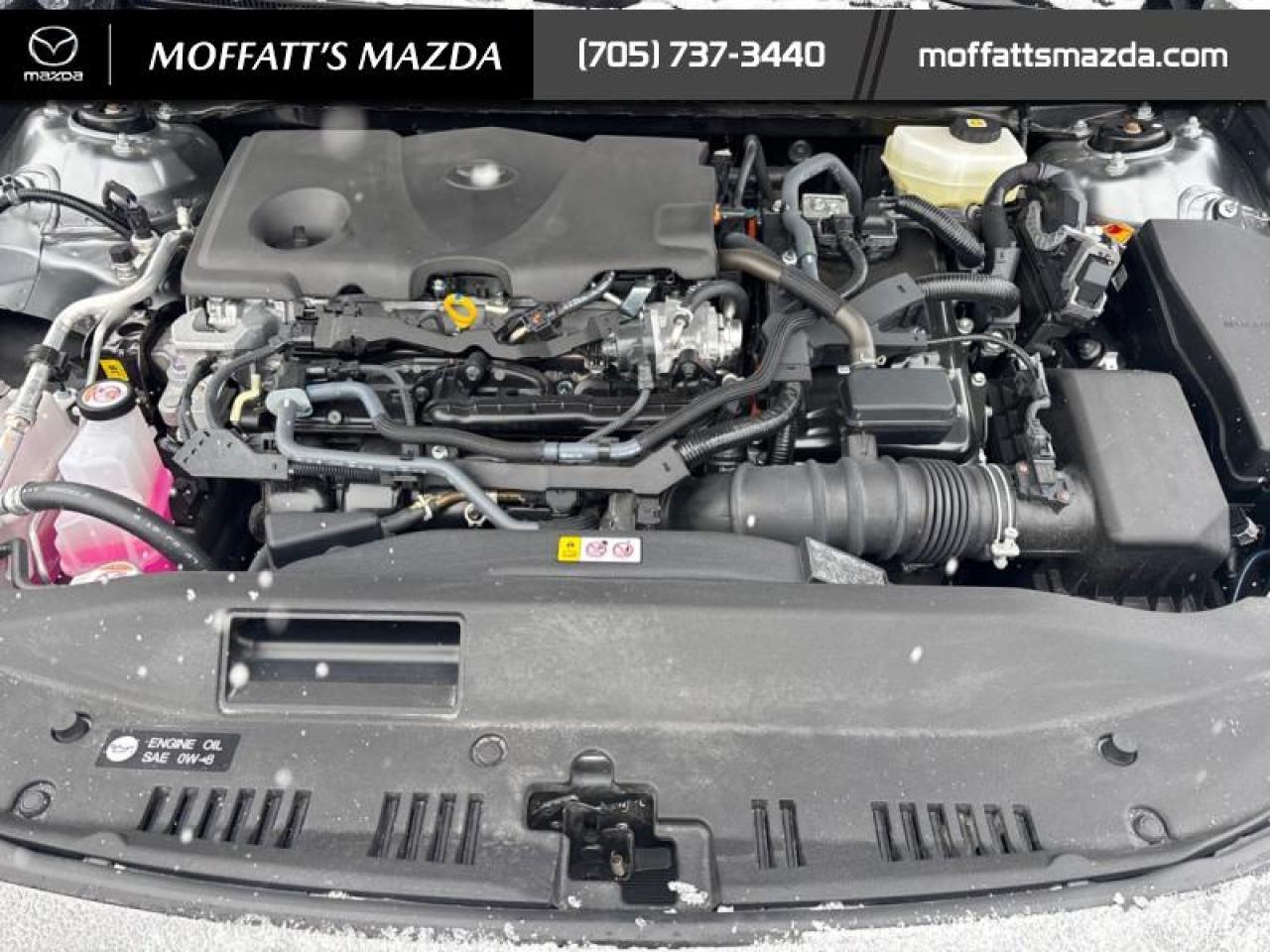 2025 Toyota Camry XLE Photo