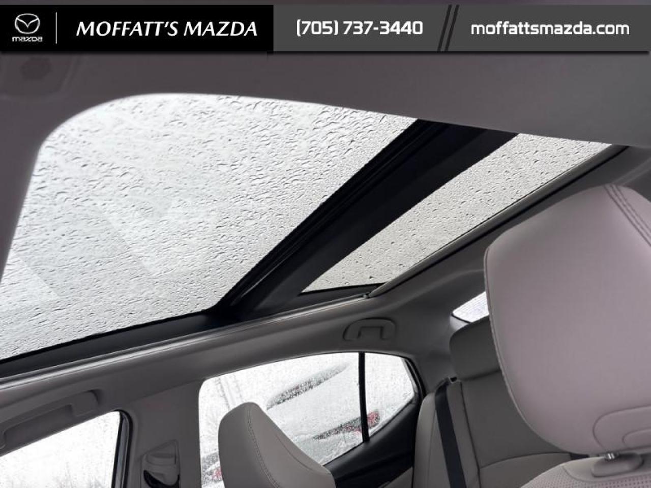 2025 Toyota Camry XLE Photo