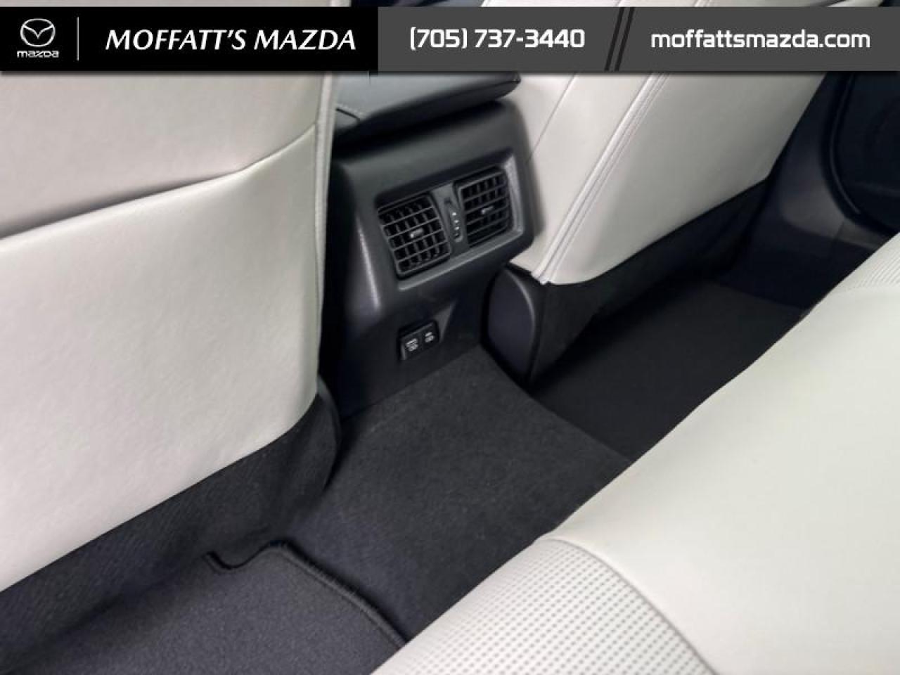 2025 Toyota Camry XLE Photo