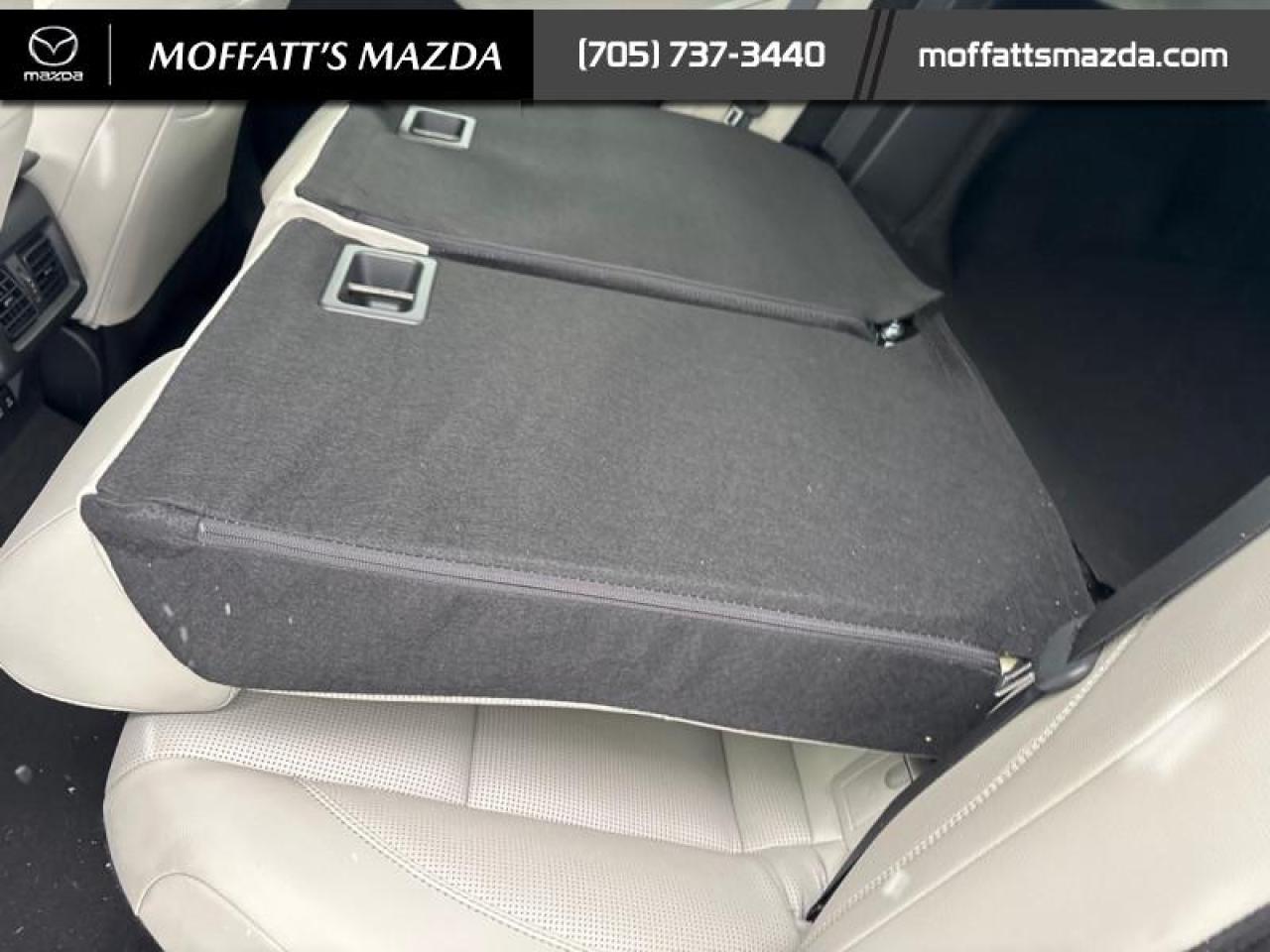 2025 Toyota Camry XLE Photo