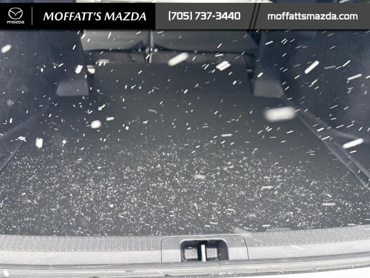 2025 Toyota Camry XLE Photo