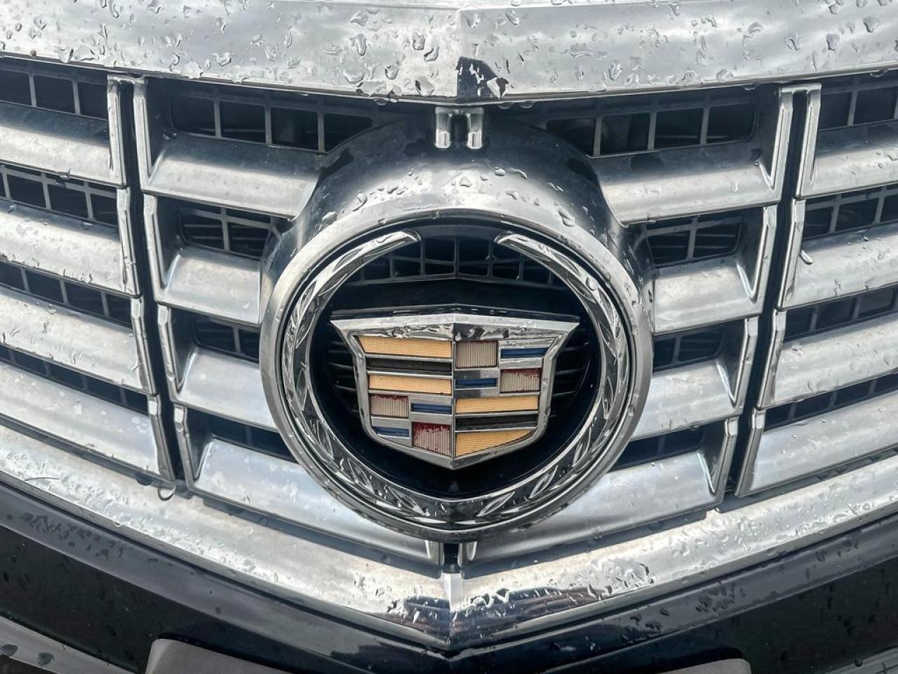 2013 Cadillac SRX LEATHER Photo