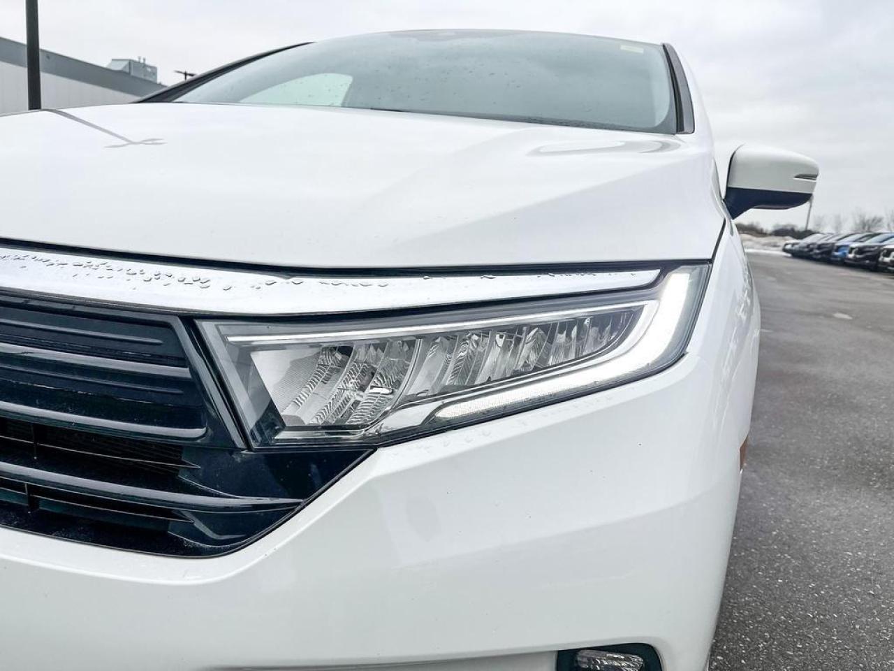 2023 Honda Odyssey EX-L Photo