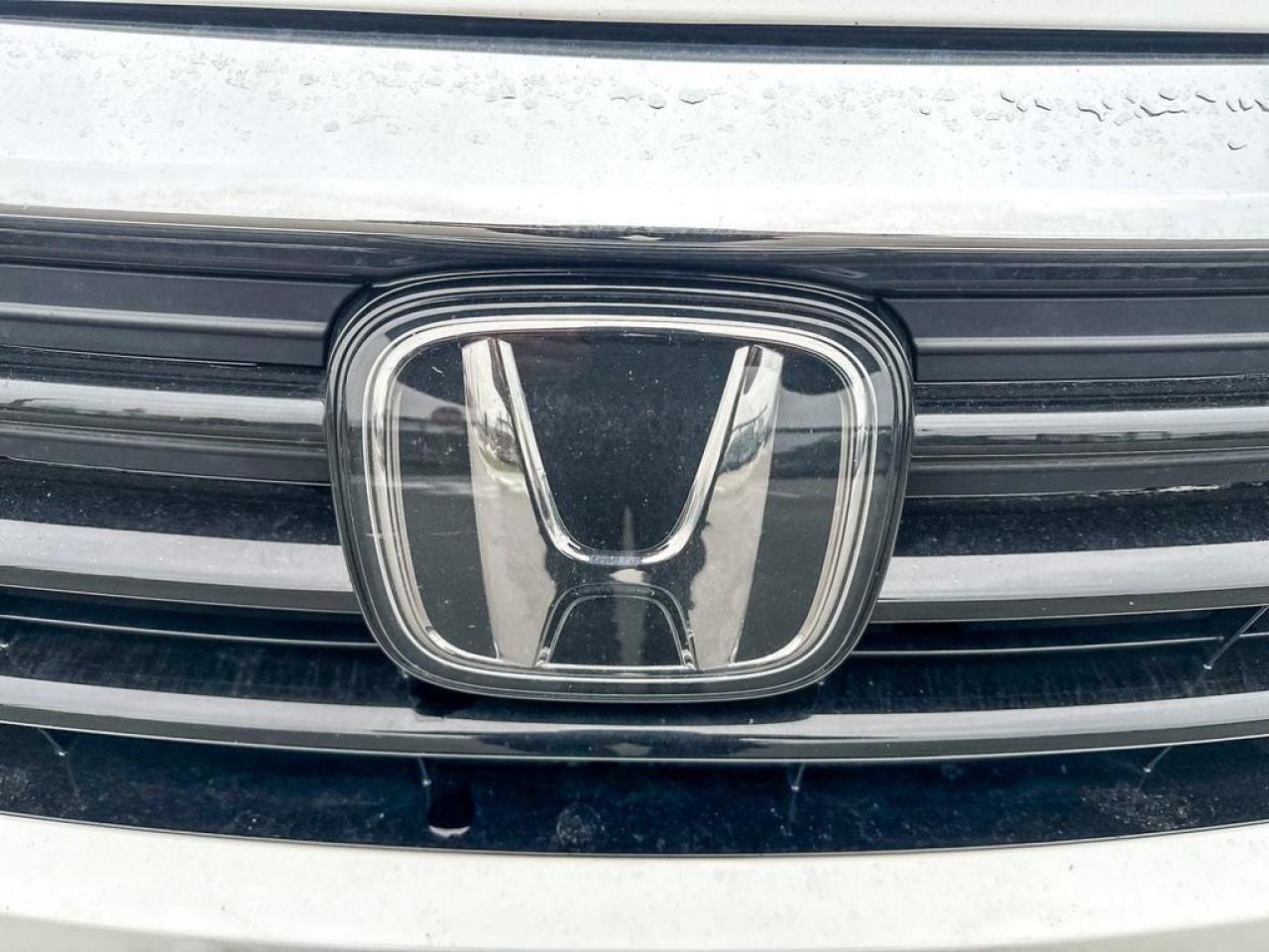 2023 Honda Odyssey EX-L Photo