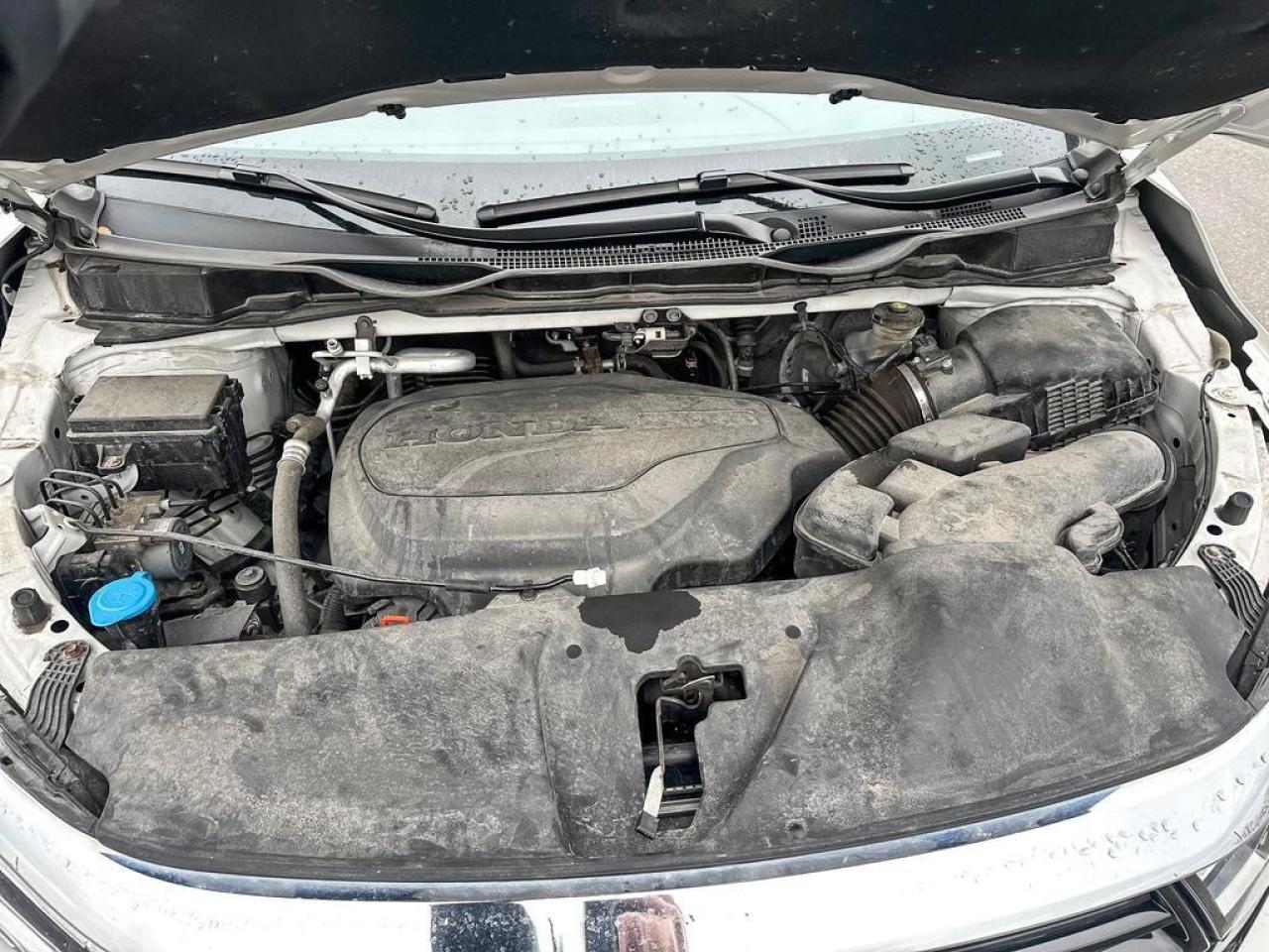 2023 Honda Odyssey EX-L Photo