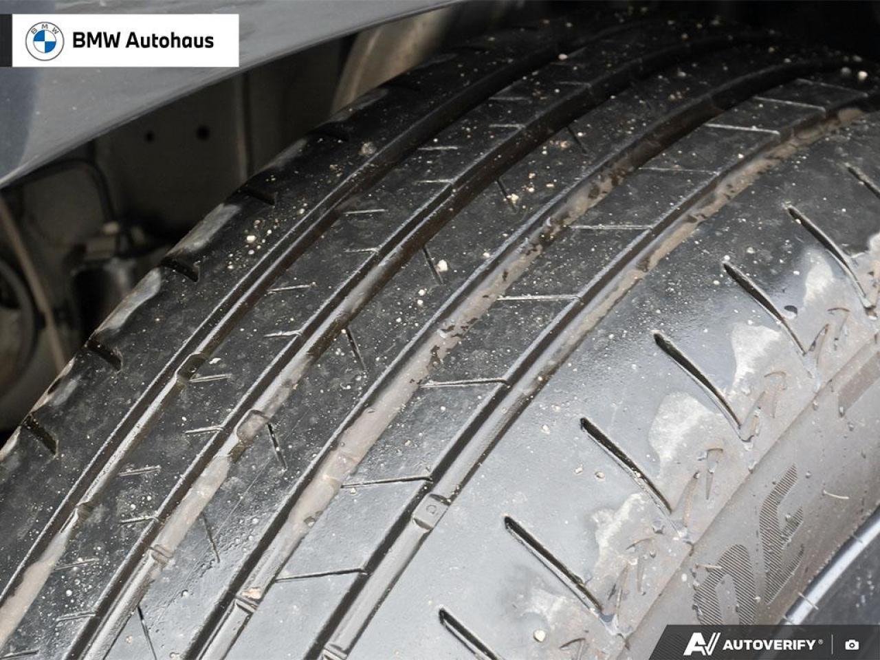 2023 BMW iX xDrive40 Sports Activity Vehicle Photo