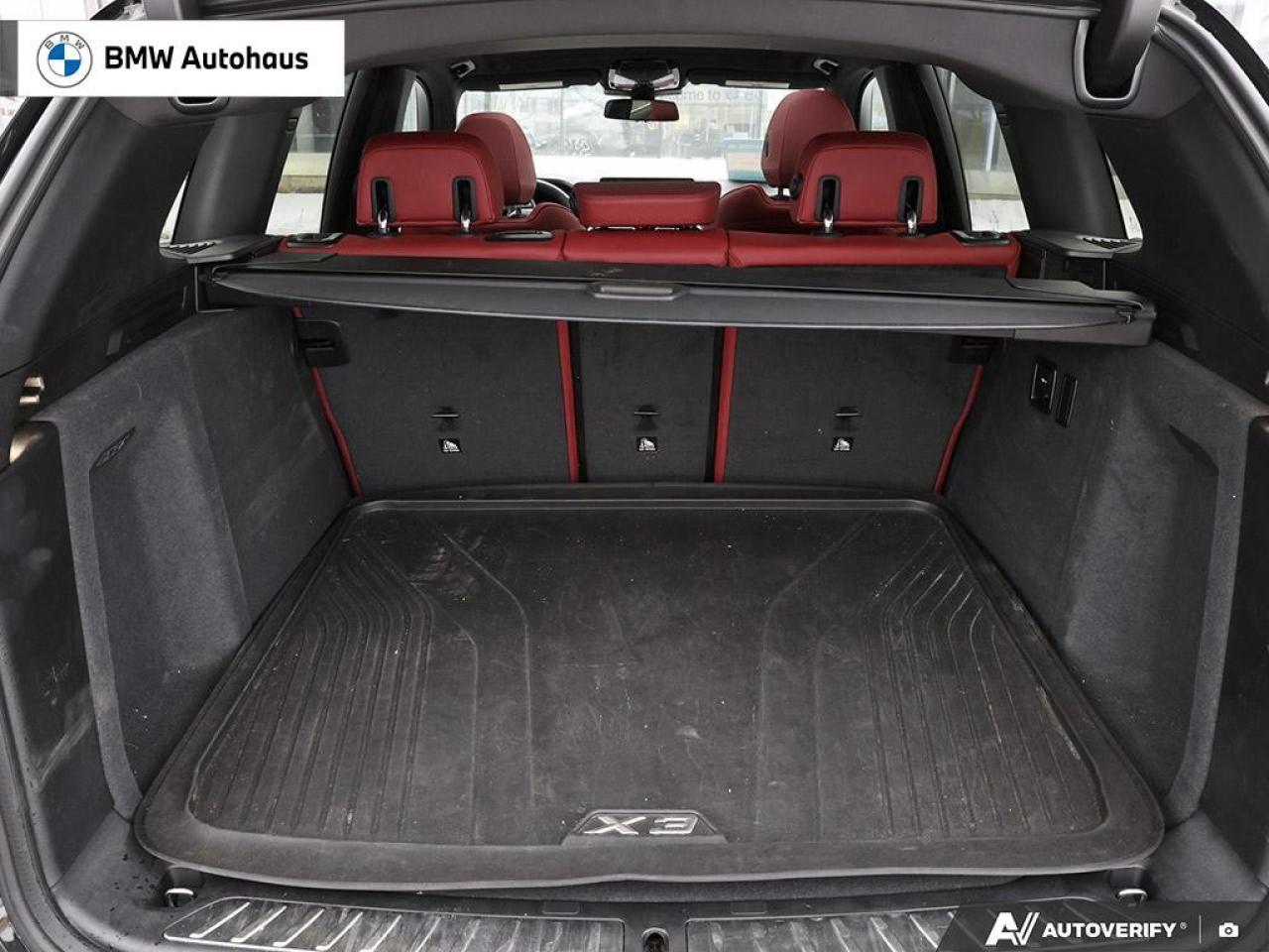 2024 BMW X3 xDrive30i Sports Activity Vehicle Photo