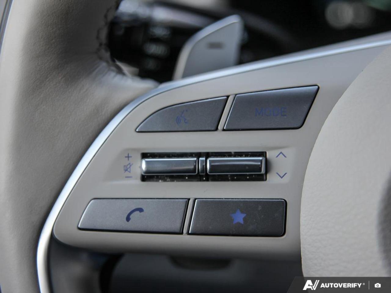 2025 Hyundai PALISADE Ultimate Calligraphy 4dr All-Wheel Drive Photo