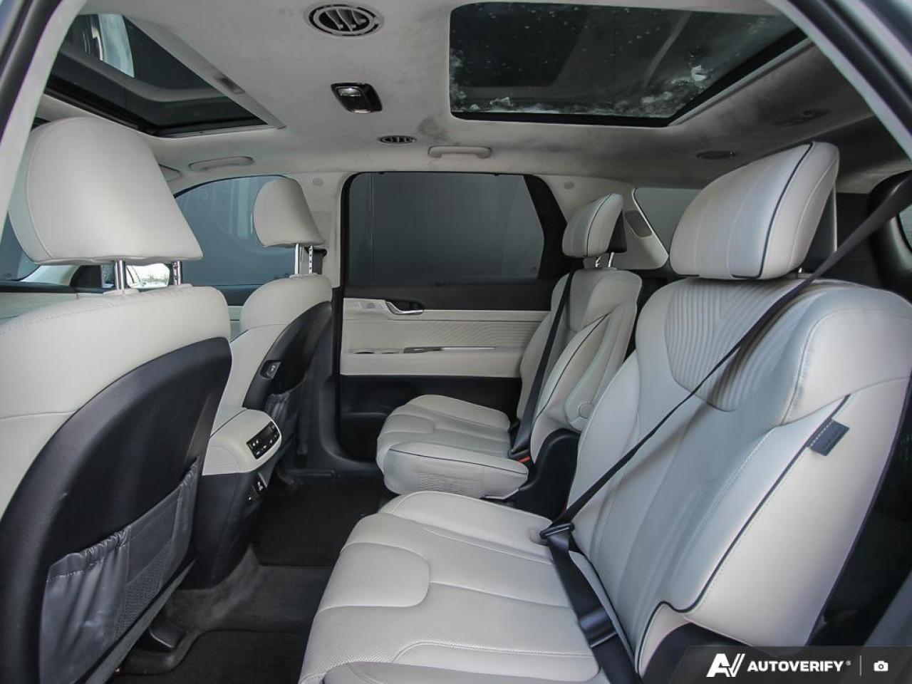 2025 Hyundai PALISADE Ultimate Calligraphy 4dr All-Wheel Drive Photo