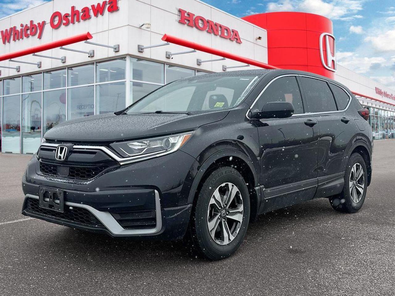2022 Honda CR-V LX Photo